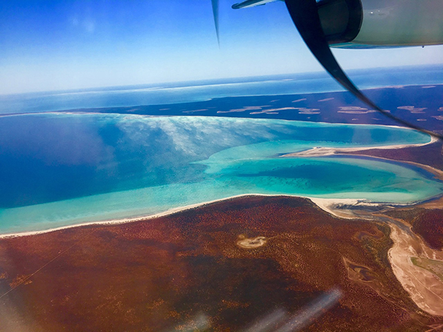 View of Shark Bay on the flight in